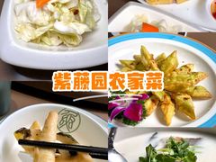 -紫藤园·天目湖大鱼头(南山竹海店)