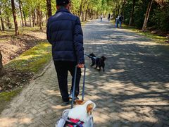 -上海海湾国家森林公园