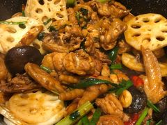 -大龙凤鸡煲(万菱汇店)