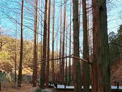 -国家植物园南园