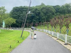 -佛手湖郊野公园
