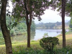 -福建鲤鱼洲酒店