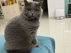 -瑞鹏宠物医院·骨科·猫科·内科(第一中心)