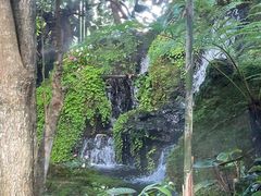 -Chom Cafe and Restaurant