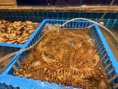 -一方渔歌蒸汽海鲜自助(文化路万达广场店)
