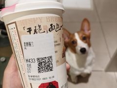 -茶颜悦色(嘉顿新天地店)