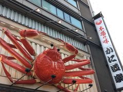 -蟹道乐(道顿堀本店)