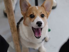 -COTTON CAFE(德信·中外公寓店)