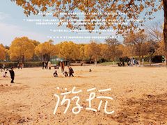 -尚贤河湿地