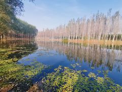 -东郊湿地公园