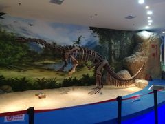 -金钉子远古世界景区