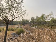 -春花秋色城市公园