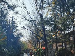 -芭东小镇温泉