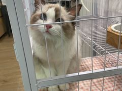 -iF摄影•全家福•证件照•形象照(南山店)