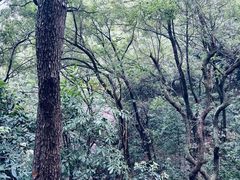 -道教老君洞