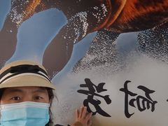 -包头博物馆