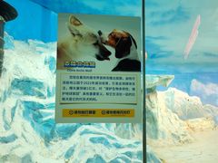-哈尔滨极地公园