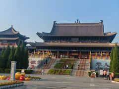 -大槐树寻根祭祖园