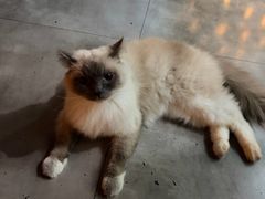 -故遥酒馆.赛事直播