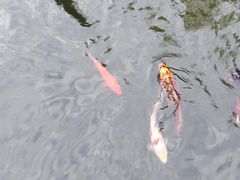 -世界之窗阿尔卑斯冰雪世界