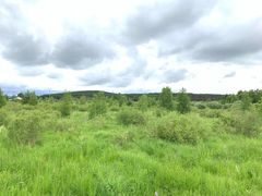 -塞罕坝国家级自然保护区