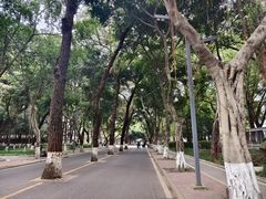 -四川大学(望江校区)