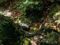 -本溪汤沟绿石谷森林公园