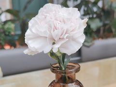 -Simple Yummy简单美味(上邦百汇城店)