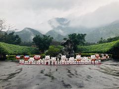 -牛鱼嘴原始生态风景区