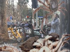 -新花城蟹粉馆(乌鲁木齐店)