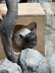 -Zoolung Zoolung动物主题公园(海信广场店)