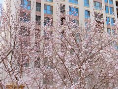 -滨河世纪广场公园