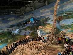 -自贡恐龙博物馆