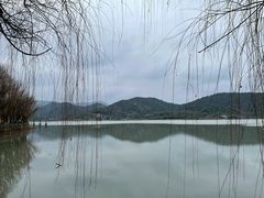 -鸣鹤古镇