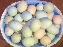 -北京美神宫艺术主题温泉酒店
