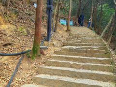 -灵顺寺