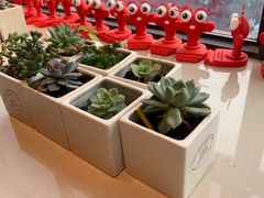 -王红军龙虾(新民路店)