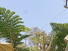 -柠檬花院烤肉·会议团建·聚会·求婚(三圣乡店)