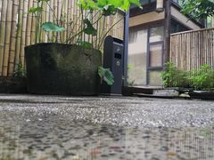 -乐领拈花溪·林涧食韵