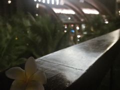 -三亚湾海居铂尔曼度假酒店