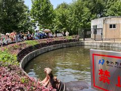 -合肥野生动物园