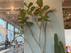 -dotcom coffee古点咖啡(致真大厦店)