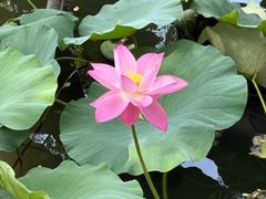 -莲池书院博物馆