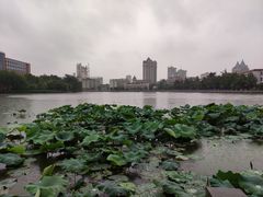 -南通濠河风景名胜区