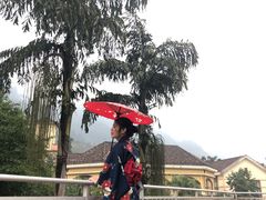 -重庆南山海昌汤都