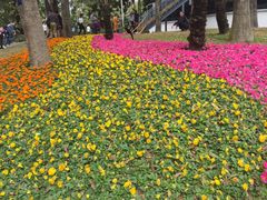 -人民公园(罗湖区)