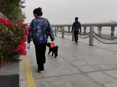 -演武大桥观景平台