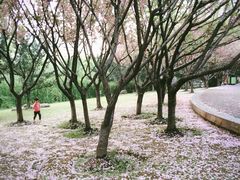 -苏州河梦清园环保主题公园