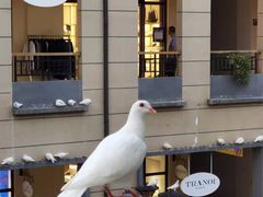 -王府井奥莱临潼小镇(临潼店)