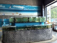 -蓝珊海鲜澳洲和牛自助餐厅